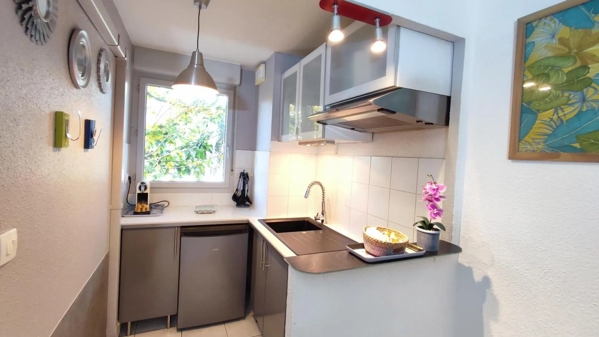 Roseraie T2 Wifi Parking Clim Toulouse Apartmán